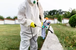 Les solutions de désinsectisation pour les espaces verts et jardins publics